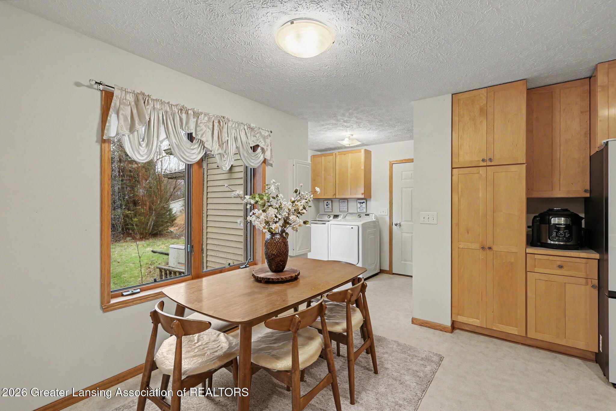 248 Birch Lane Dimondale, MI 48821 - Photo 13 of 44 13-web-or-mls-CQ1A2439