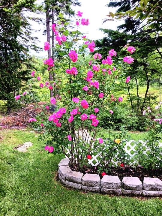 121 Northern Neck Road Mount Desert, ME 04660 - Photo 31 of 32 hzI8a3nc-1975918697