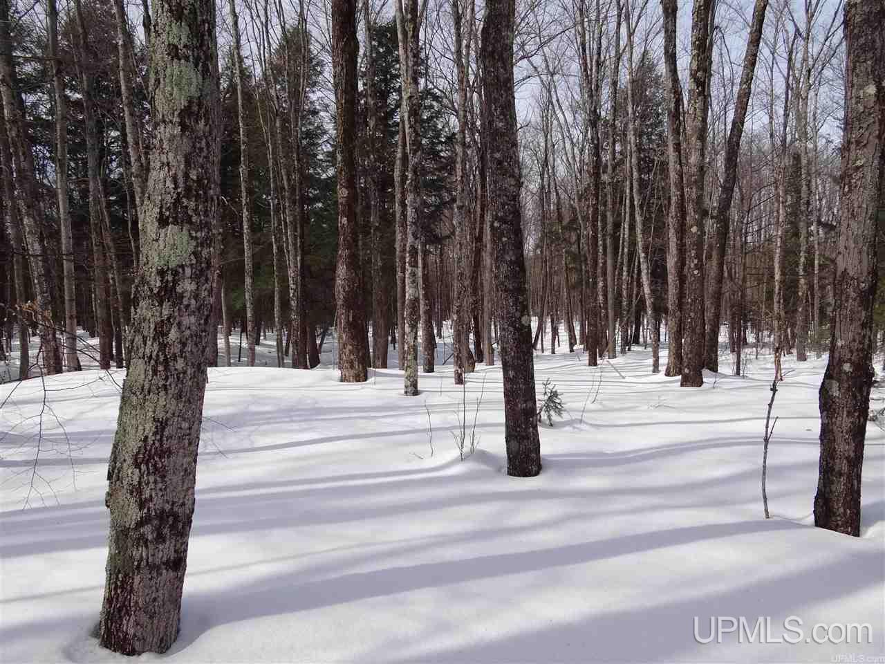 Tbd Dogpatch Road, Unit LOT J Lanse, MI 49946 - Photo 11 of 16