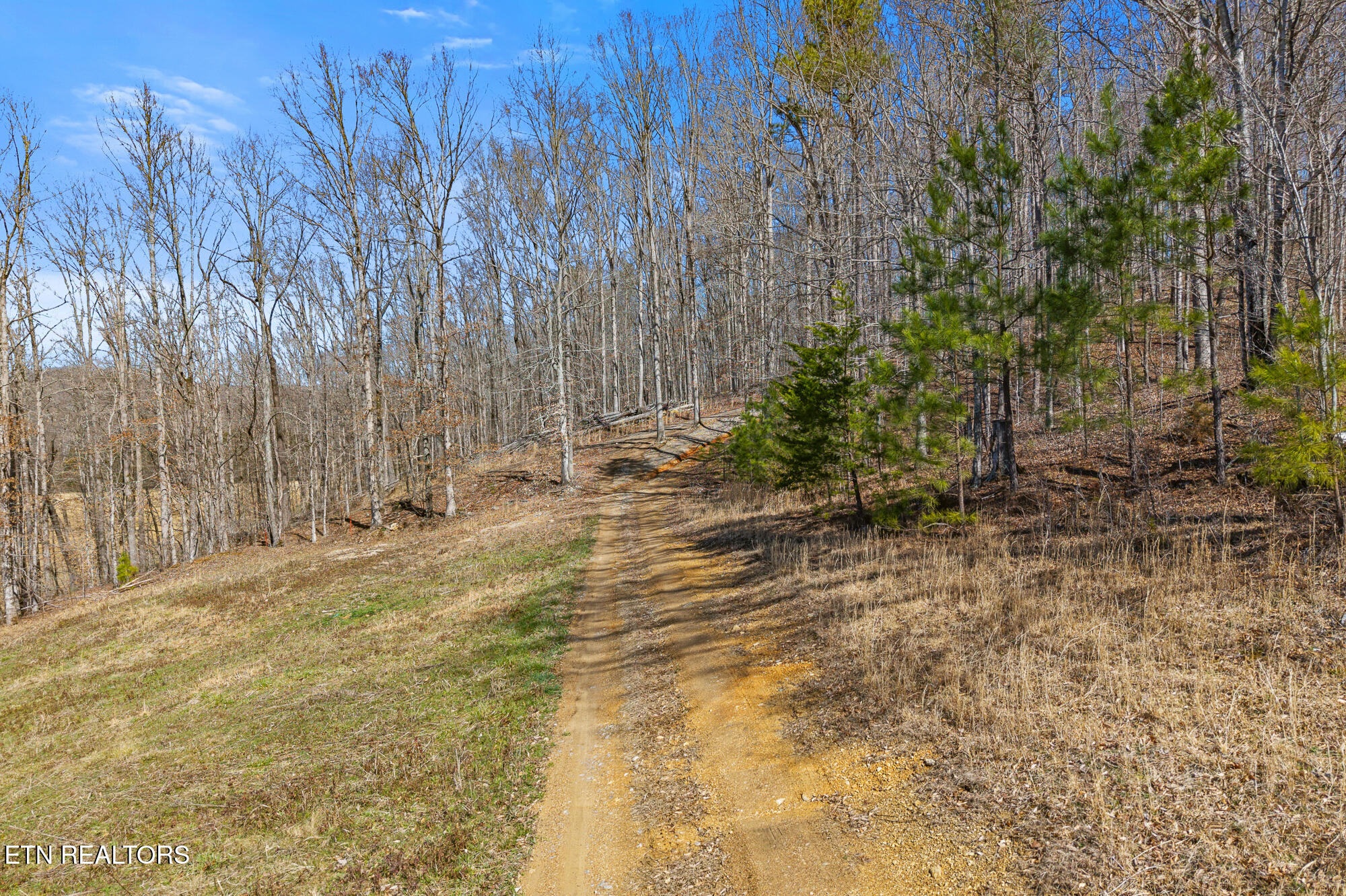 1710 Upper Concord Road Ten Mile, TN 37880 - Photo 11 of 21 1710 Upper Concord Rd-16