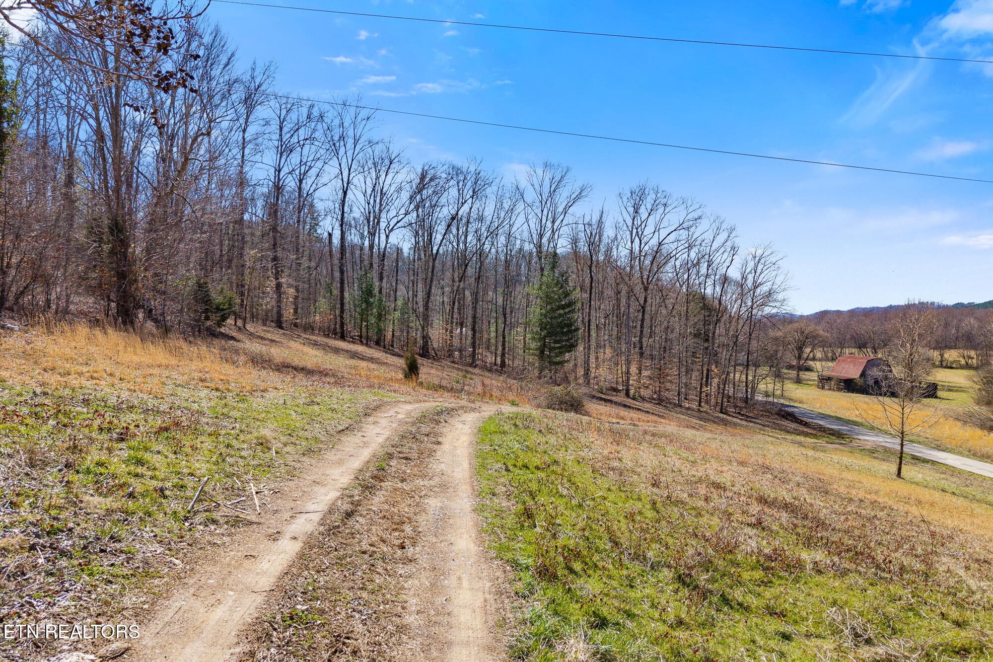 1710 Upper Concord Road Ten Mile, TN 37880 - Photo 12 of 21 1710 Upper Concord Rd-17
