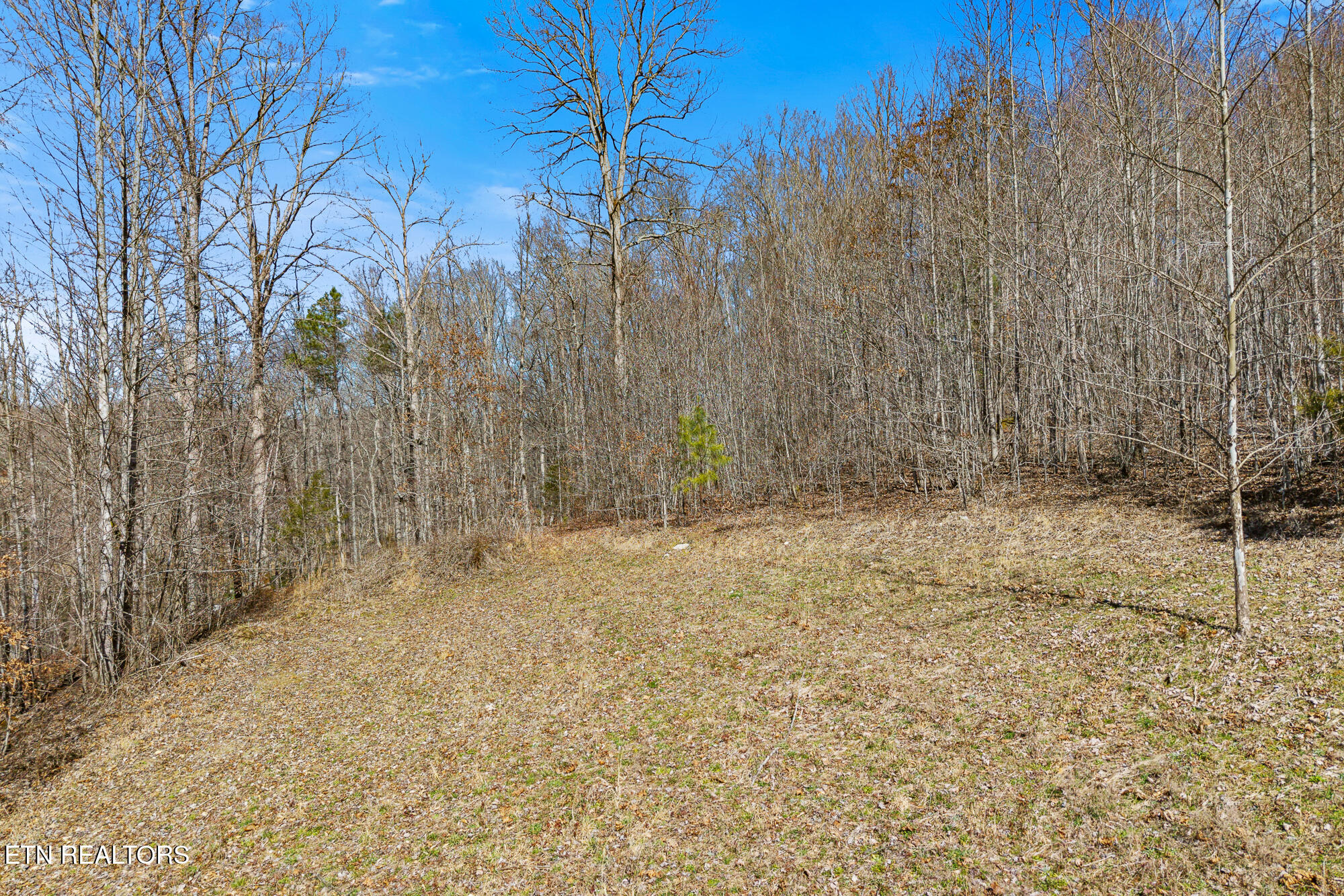 1710 Upper Concord Road Ten Mile, TN 37880 - Photo 14 of 21 1710 Upper Concord Rd-11
