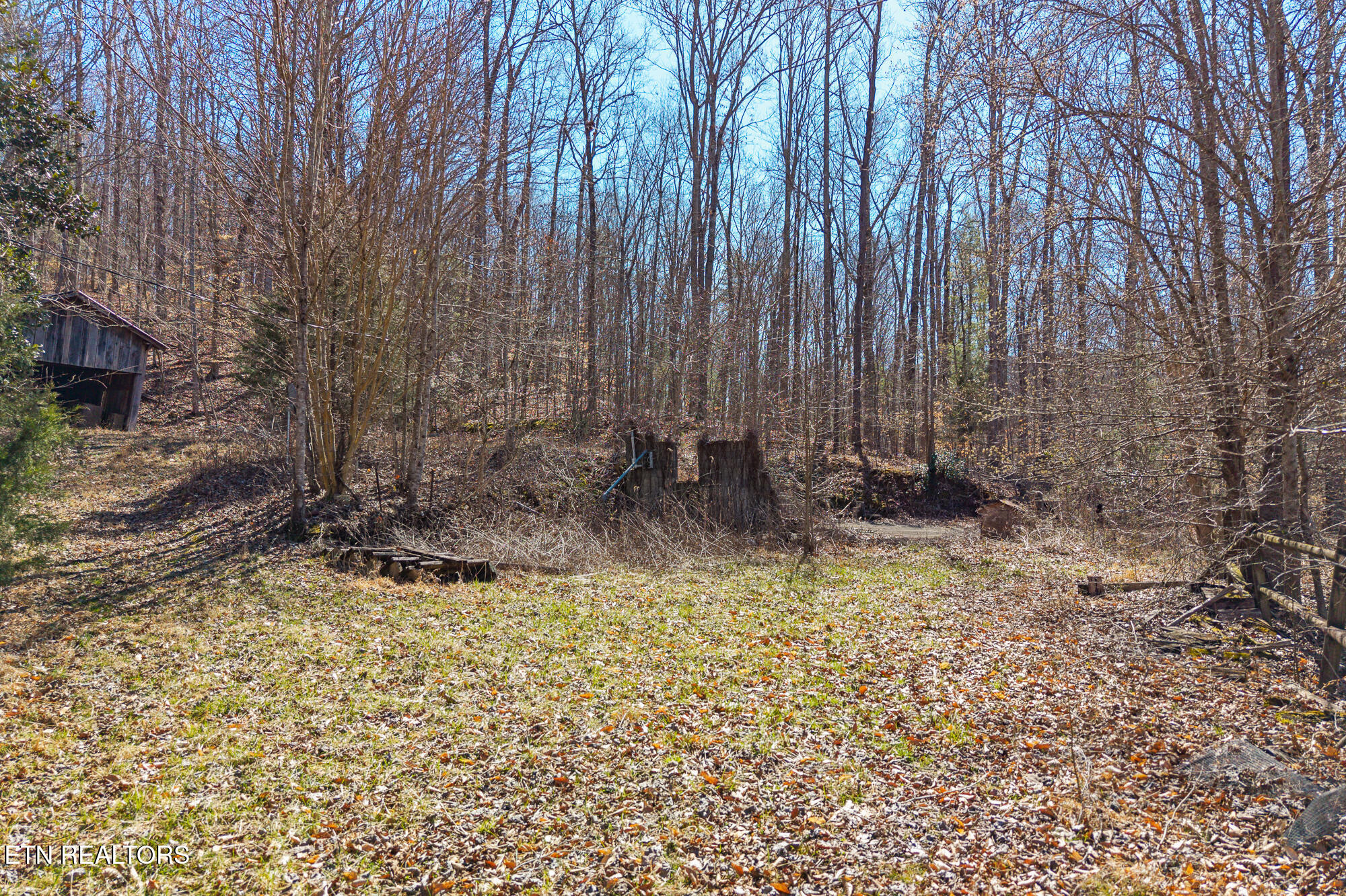1710 Upper Concord Road Ten Mile, TN 37880 - Photo 16 of 21 1710 Upper Concord Rd-14