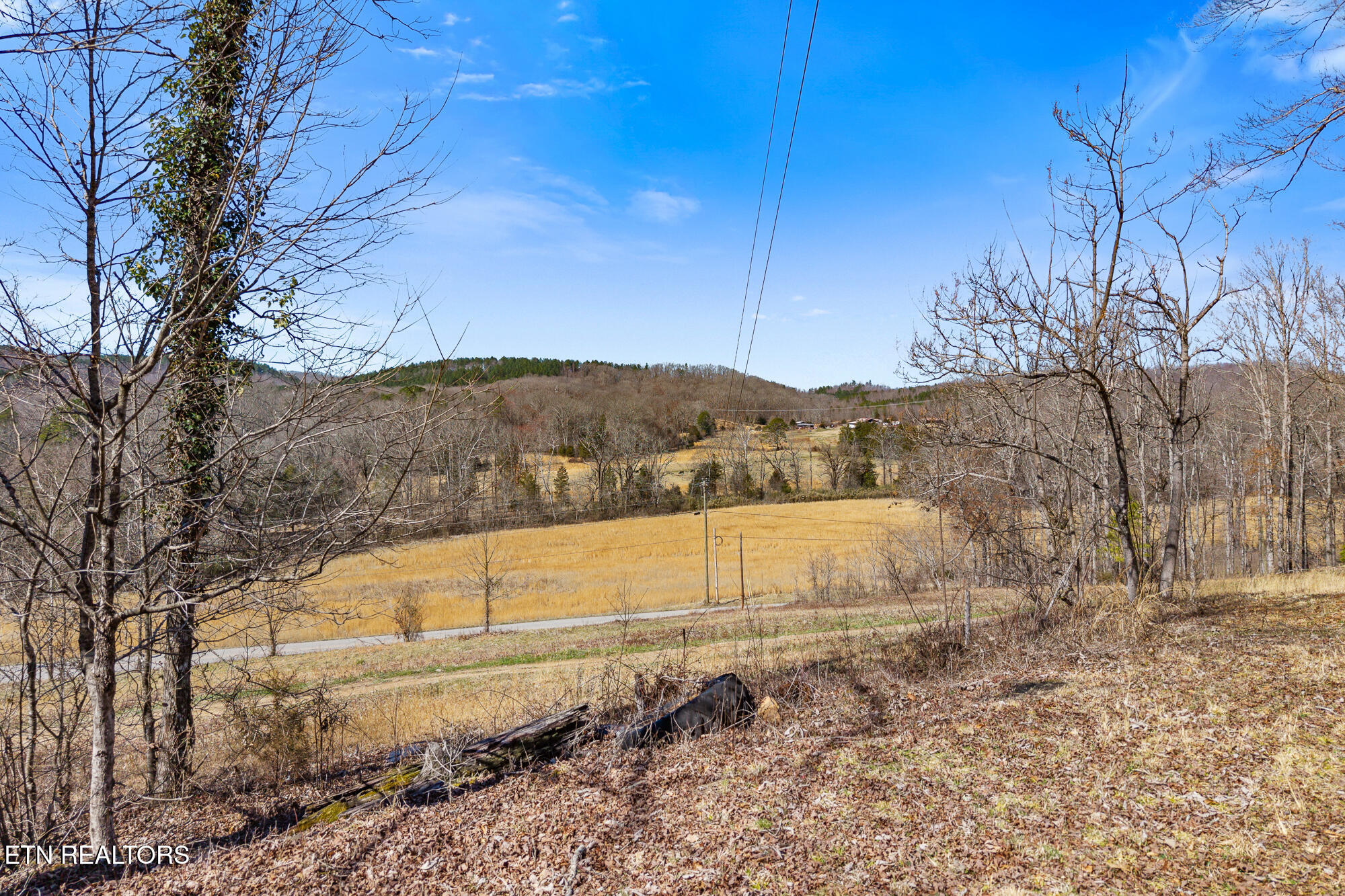 1710 Upper Concord Road Ten Mile, TN 37880 - Photo 17 of 21 1710 Upper Concord Rd-15