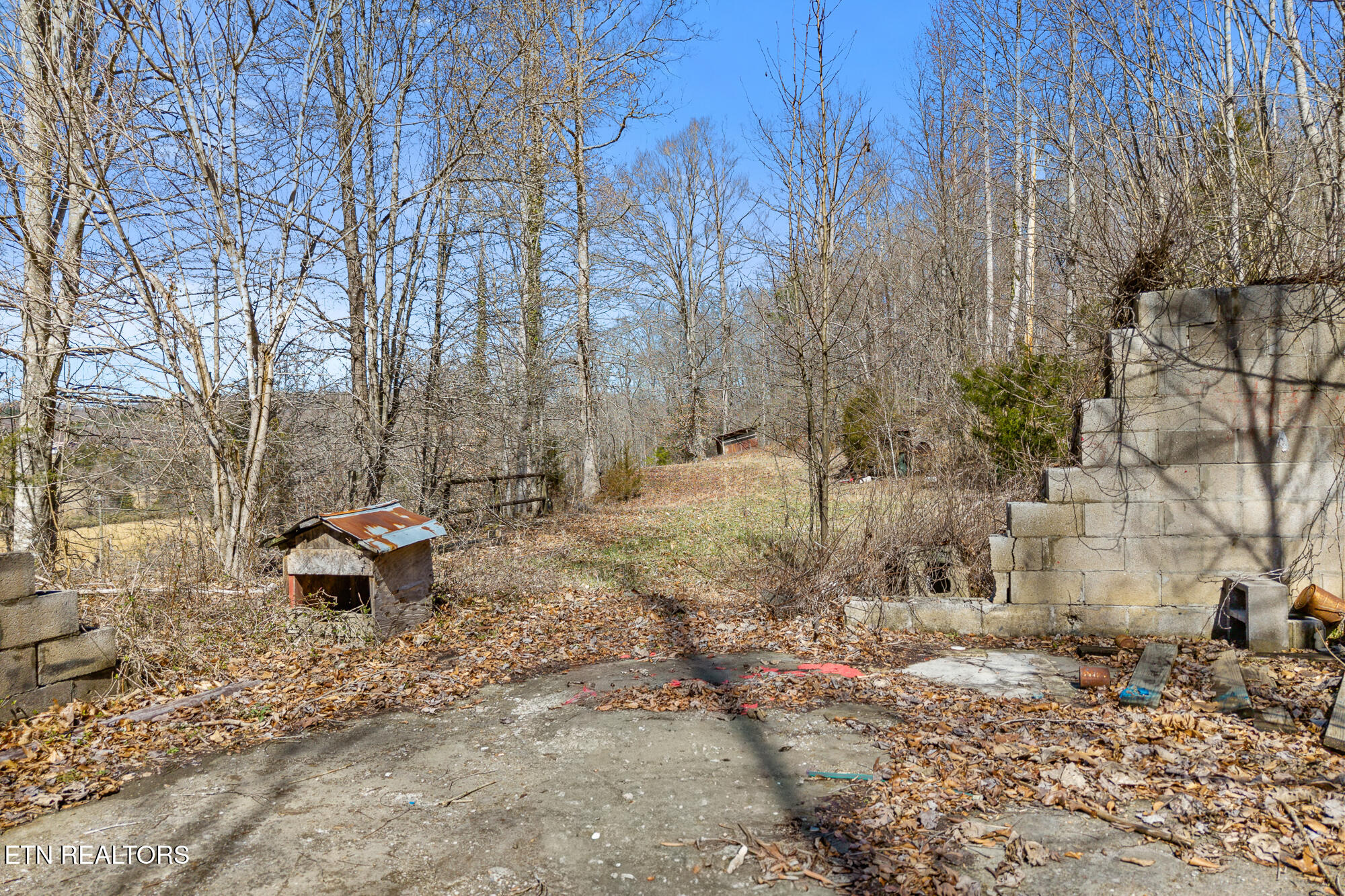 1710 Upper Concord Road Ten Mile, TN 37880 - Photo 18 of 21 1710 Upper Concord Rd-18