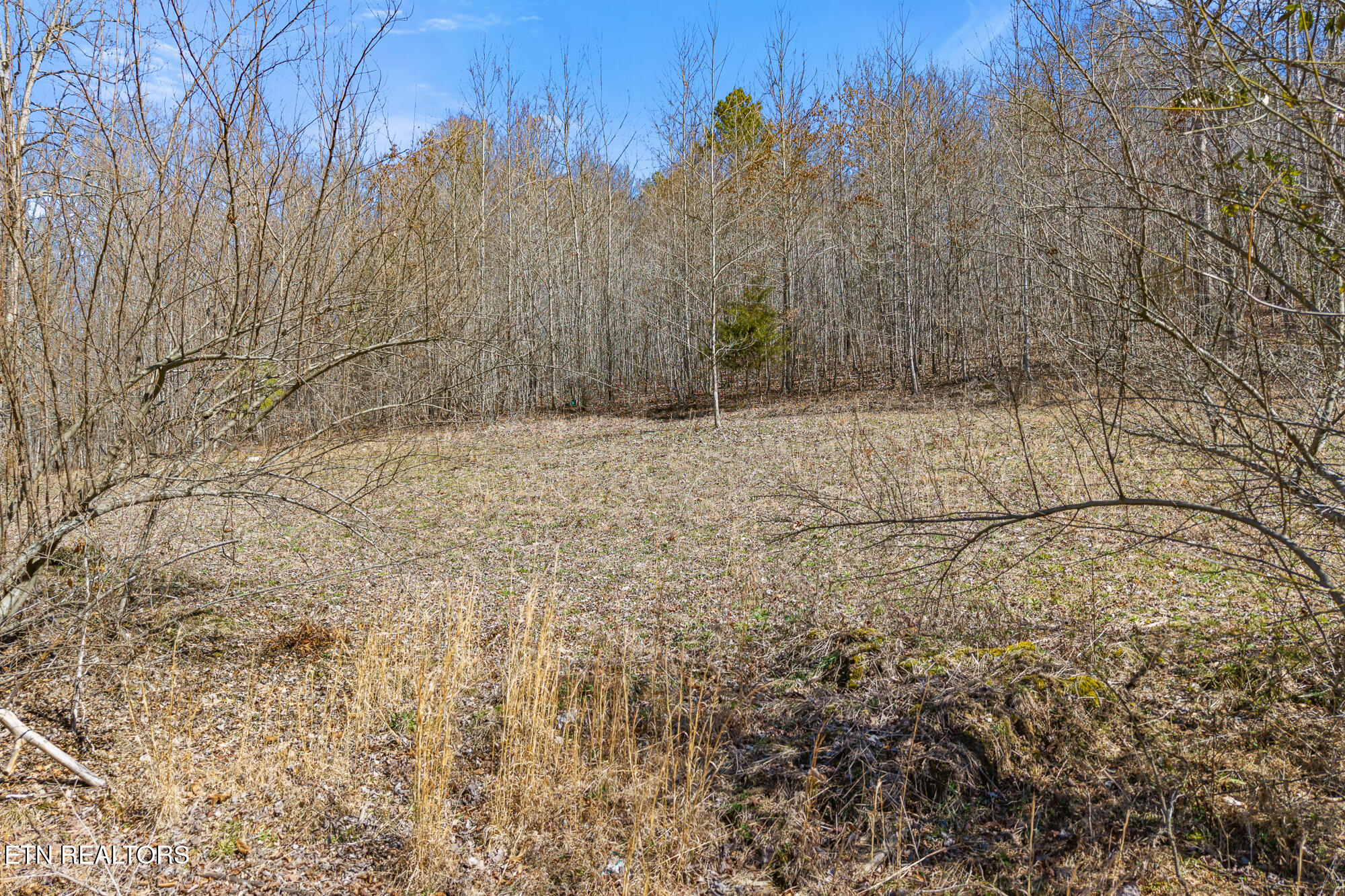1710 Upper Concord Road Ten Mile, TN 37880 - Photo 10 of 21 1710 Upper Concord Rd-13