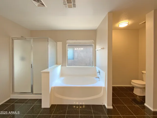 a bathroom with a bathtub and a toilet