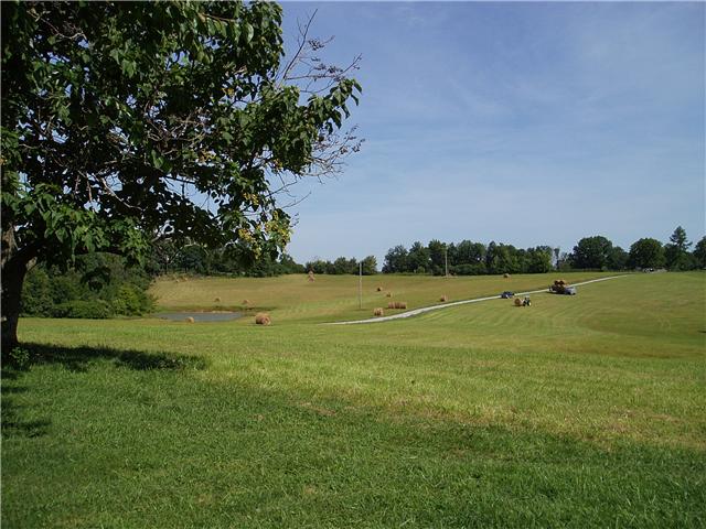7436 Shoals Branch Road Primm Springs, TN 38476 - Photo 1 of 12 20 acres of your own hay during hay season