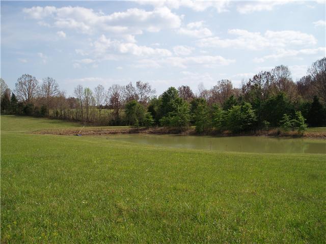 7436 Shoals Branch Road Primm Springs, TN 38476 - Photo 11 of 12 Large pond in front field did not dry up in record-breaking drought of 2007