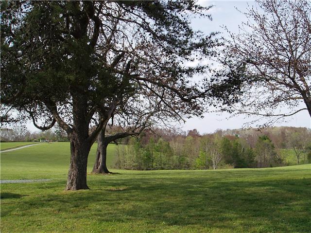 7436 Shoals Branch Road Primm Springs, TN 38476 - Photo 3 of 12 Wooded area in swale has a natural spring.