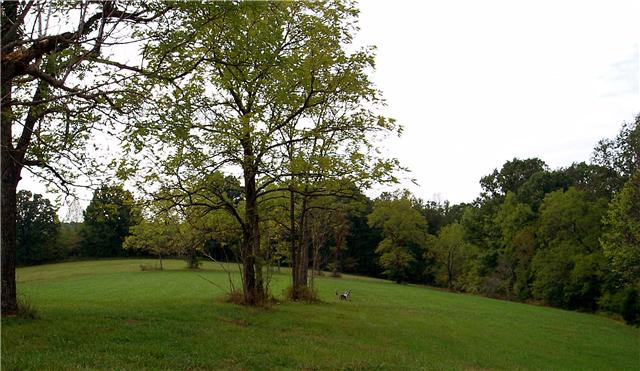 7436 Shoals Branch Road Primm Springs, TN 38476 - Photo 5 of 12 One of the private building spots. Current owner calls this the "magic spot" and lots of great picnics have been enjoyed here.
