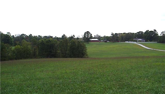 7436 Shoals Branch Road Primm Springs, TN 38476 - Photo 8 of 12 View of farm from beautiful Shoals Branch Road. 3 miles to 840, 10 min to Leipers Fork, 10 min to Fairview, 40 min to Nashville.