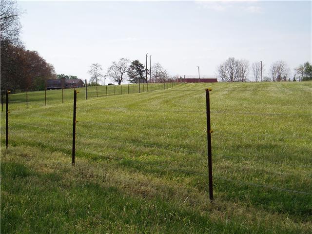7436 Shoals Branch Road Primm Springs, TN 38476 - Photo 10 of 12 Lush back pasture, fenced with high tensile wire, showing back of barn and house.