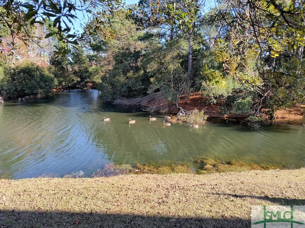 56 Stonelake Circle Savannah, GA 31419 - Photo 22 of 24