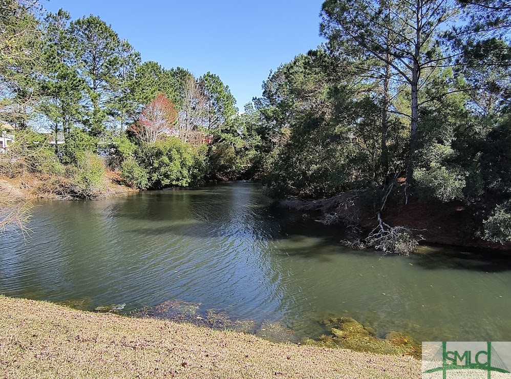 56 Stonelake Circle Savannah, GA 31419 - Photo 23 of 24