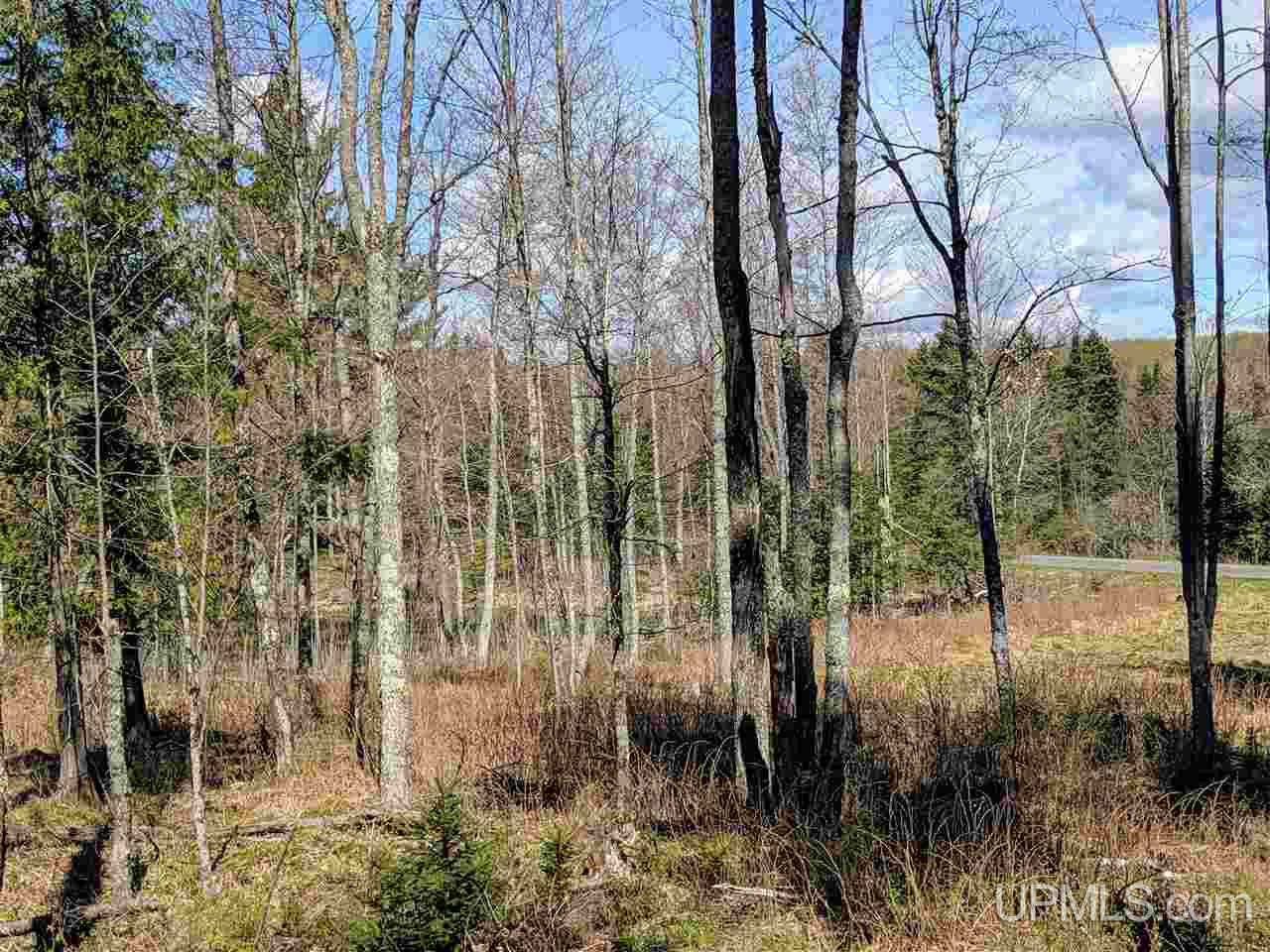 20-acres Ottawa Lake Road Iron River, MI 49935 - Photo 6 of 11