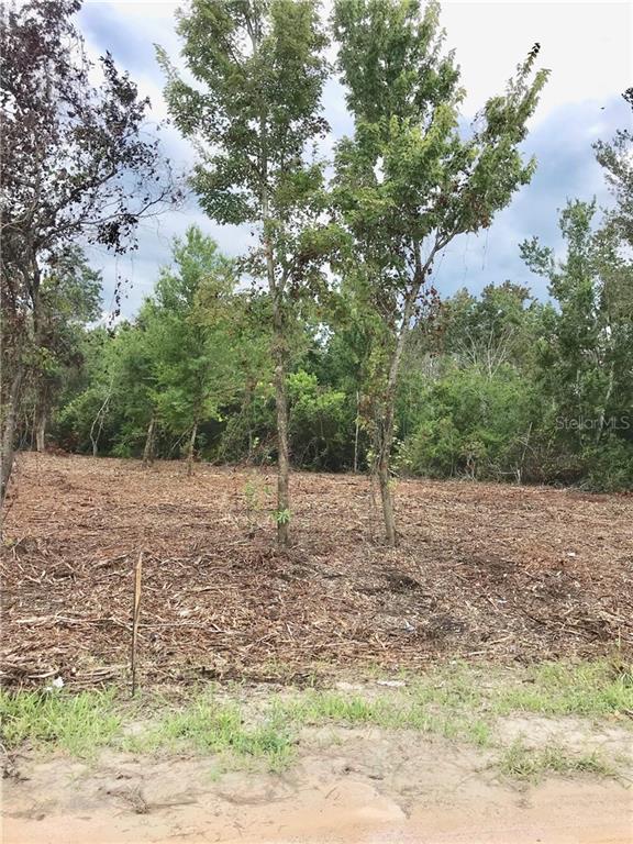 3860 Lakeview Acres Road St. Cloud, FL 34772 - Photo 1 of 1 Gallery Image 1