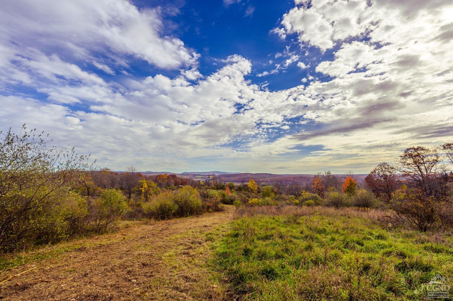 4 Darling Road Craryville, NY 12521 - Photo 1 of 14 a view of a sky