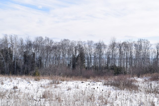 Lot 1 County Road Algoma, WI 54201 - Photo 8 of 13