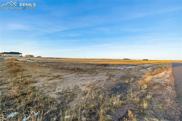 a view of a field with an ocean