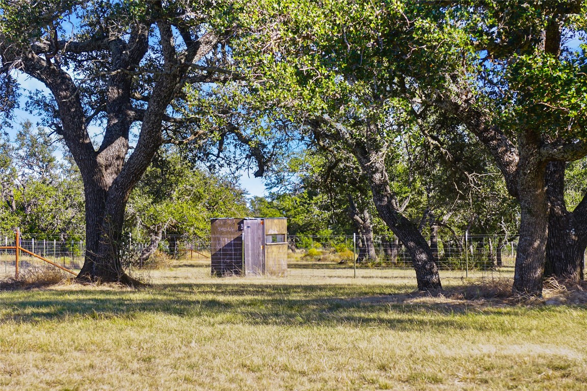 6588 Starks Road Mason, TX 76856 - Photo 5 of 40 a view of a yard with a tree