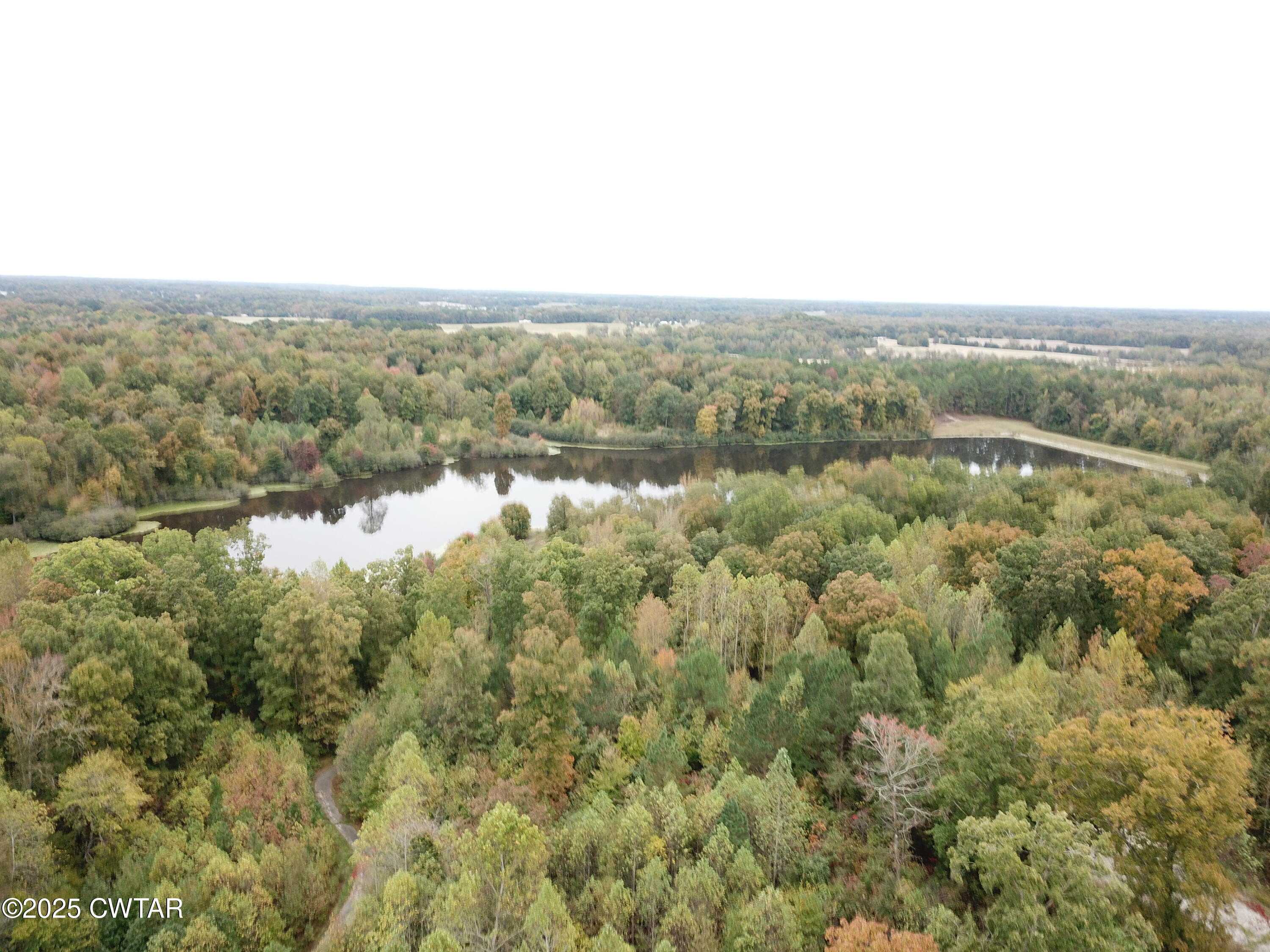 Lot 33 Peregrine Place Cedar Grove, TN 38321 - Photo 3 of 3 an aerial view of houses covered in trees