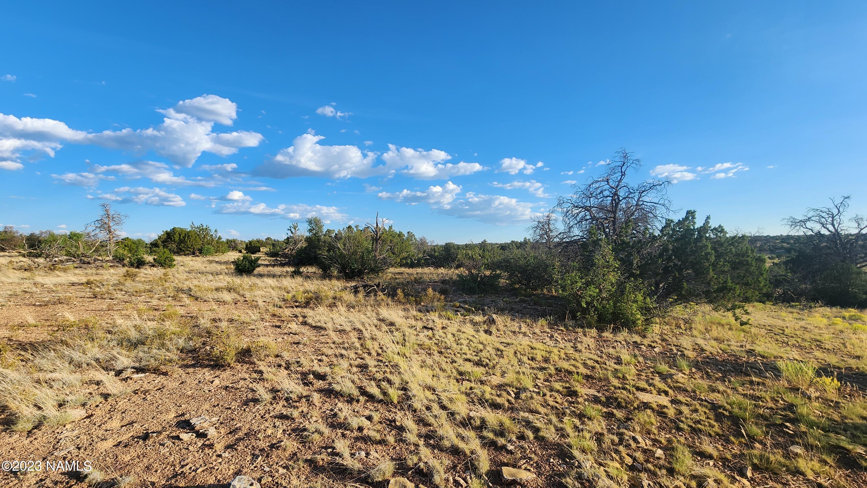 5854 South Estrella Road Williams, AZ 86046 - Photo 9 of 26 20230719_183622