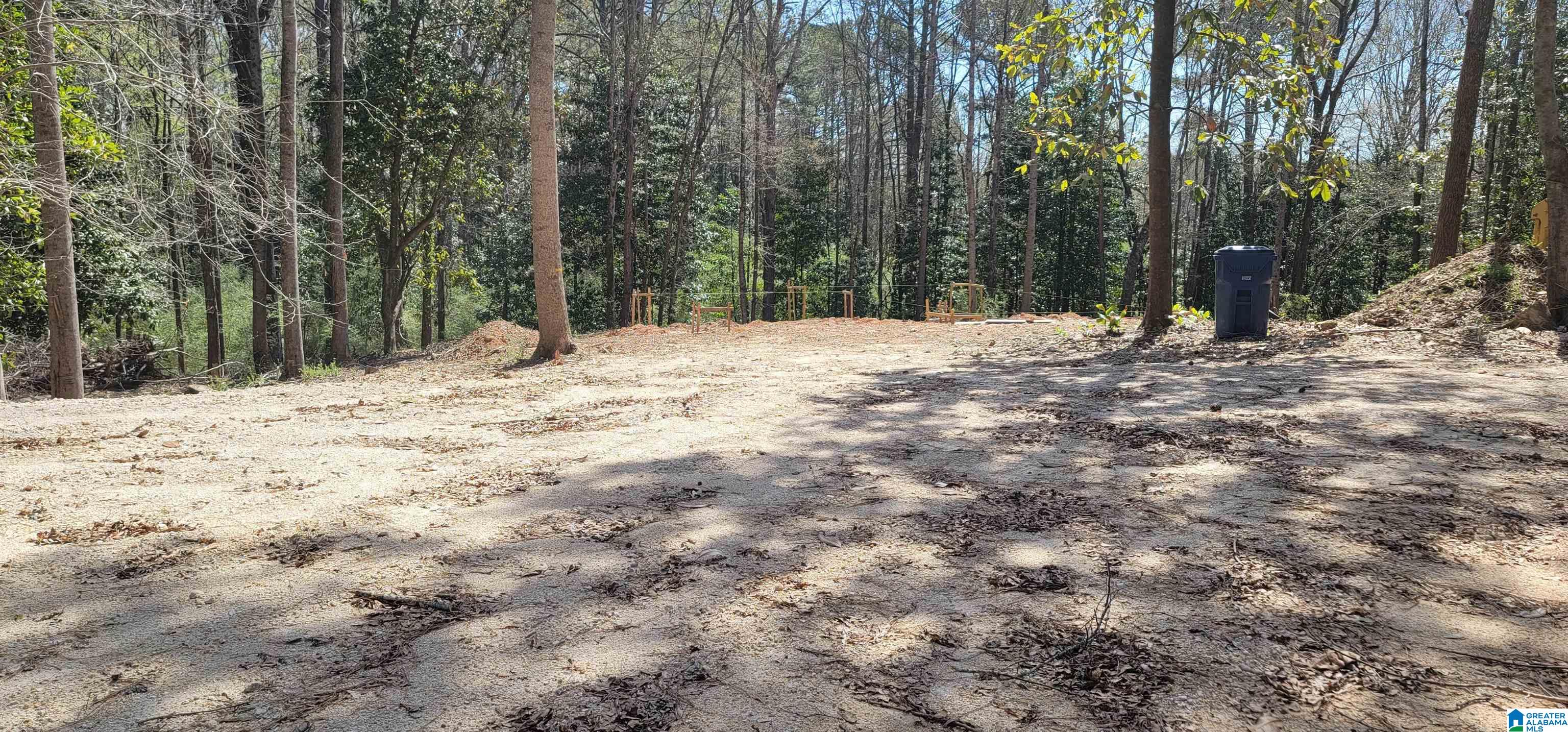0 Osborne Street, Unit 3 ACRES Heflin, AL 36264 - Photo 7 of 11