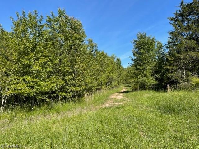 4000 Old Lexington Road Winston-Salem, NC 27107 - Photo 2 of 6