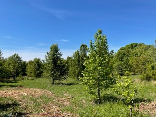 4000 Old Lexington Road Winston-Salem, NC 27107 - Photo 3 of 6