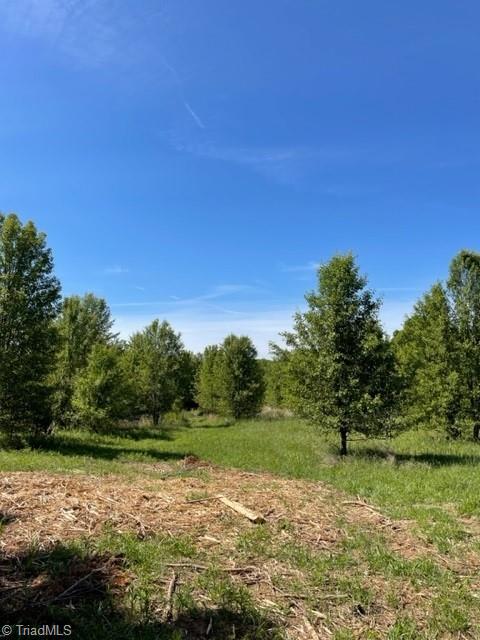 4000 Old Lexington Road Winston-Salem, NC 27107 - Photo 4 of 6