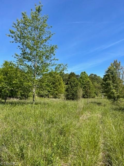 4000 Old Lexington Road Winston-Salem, NC 27107 - Photo 5 of 6