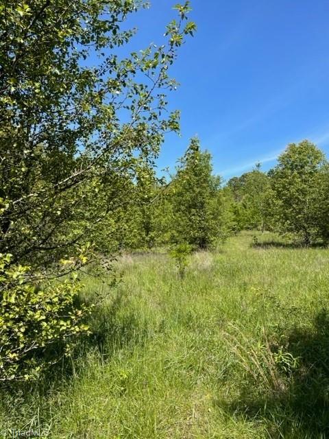 4000 Old Lexington Road Winston-Salem, NC 27107 - Photo 6 of 6