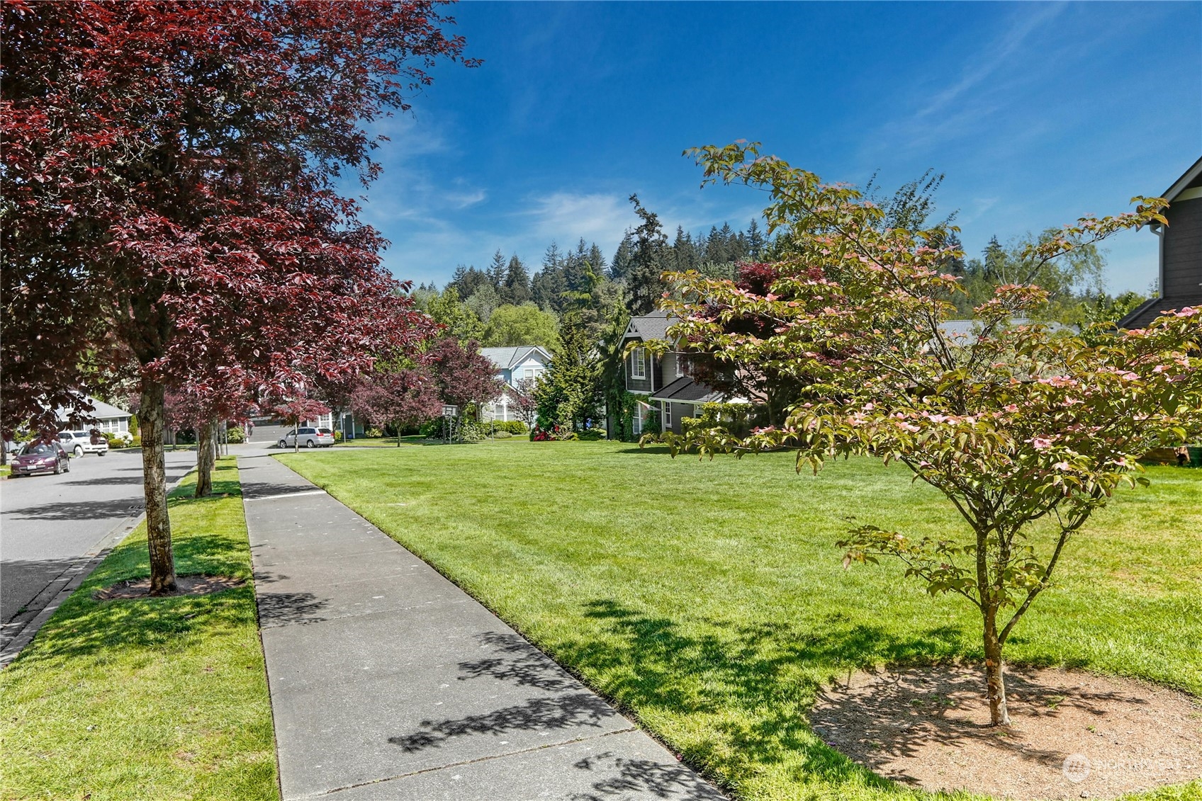 17309 106th Place Northeast Bothell, WA 98011 - Photo 38 of 39 a view of a yard with plants and trees