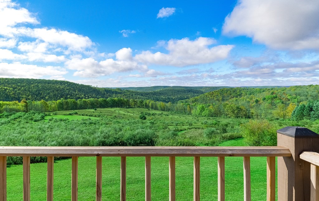 436 Teeter Road Whitesville, NY 14897 - Photo 17 of 44