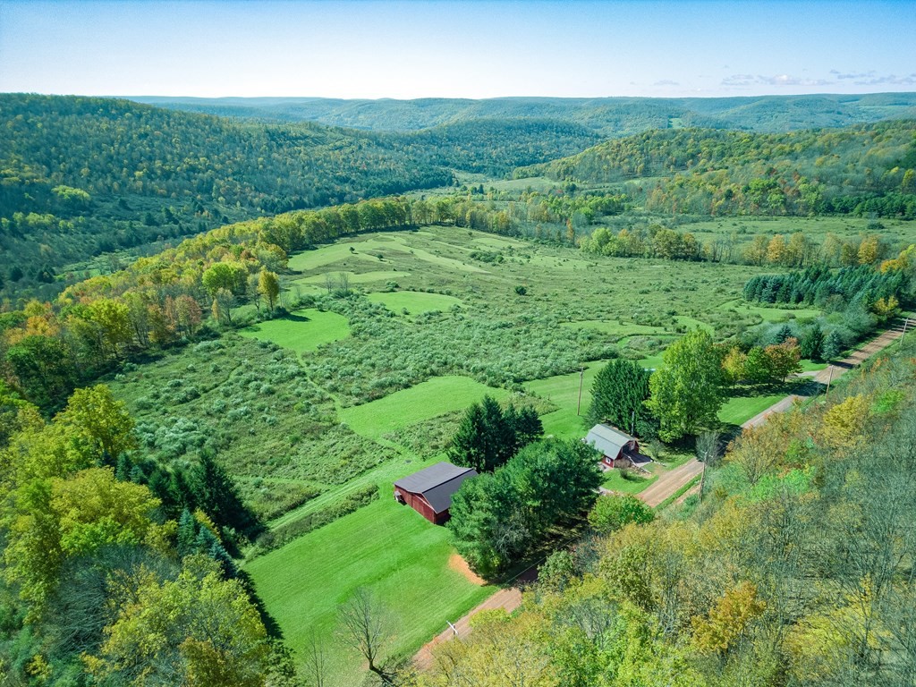 436 Teeter Road Whitesville, NY 14897 - Photo 39 of 44