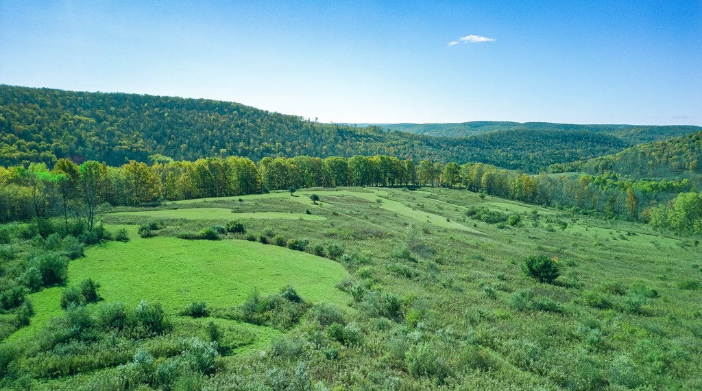 436 Teeter Road Whitesville, NY 14897 - Photo 40 of 44