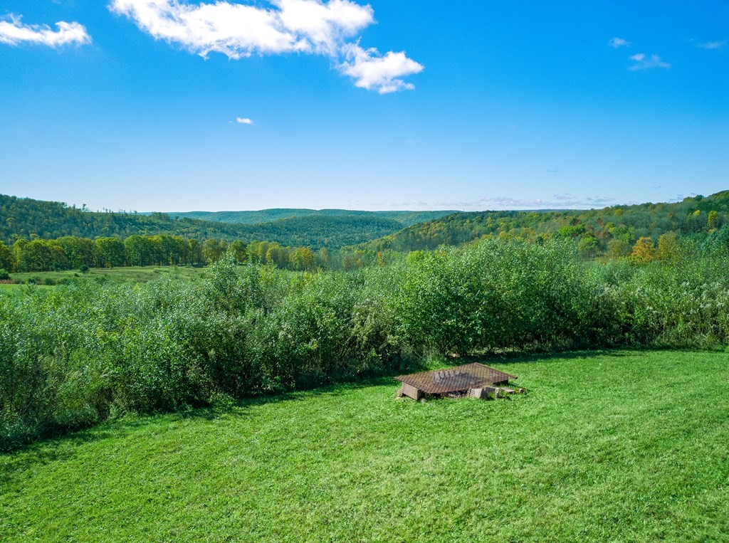 436 Teeter Road Whitesville, NY 14897 - Photo 41 of 44