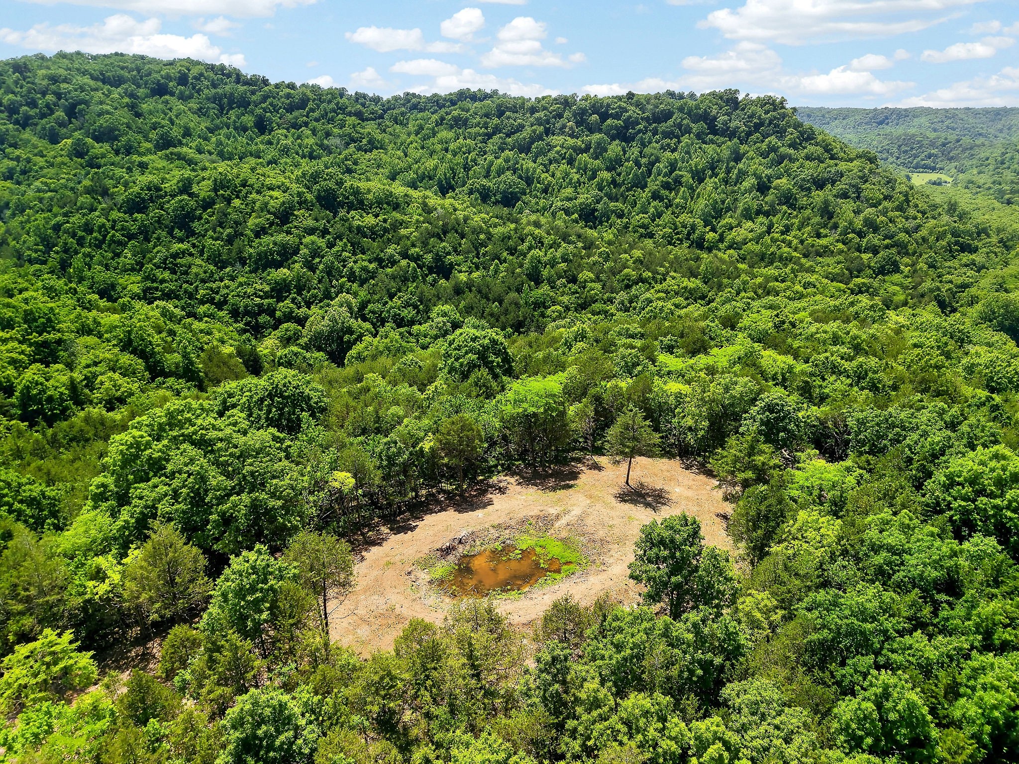 2926 Bryant Ridge Road Baxter, TN 38544 - Photo 60 of 64