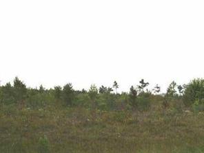 100 White Store Road Wadesboro, NC 28170 - Photo 1 of 1 Gallery Image 1
