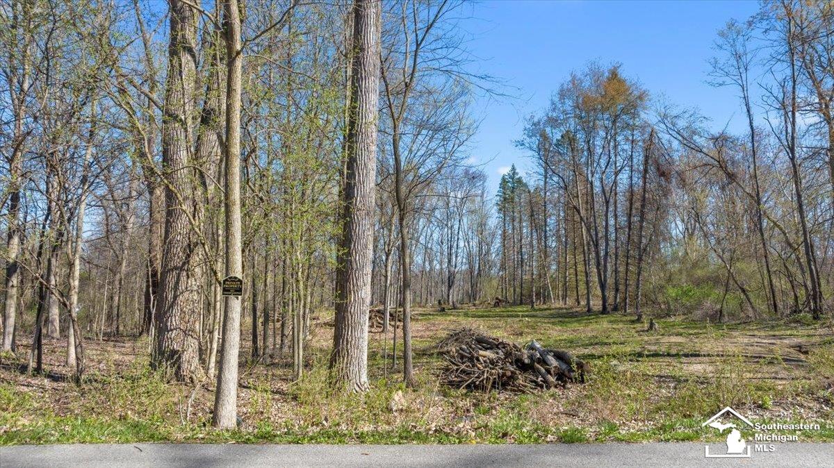 13558 Hannan Road Romulus, MI 48174 - Photo 8 of 9