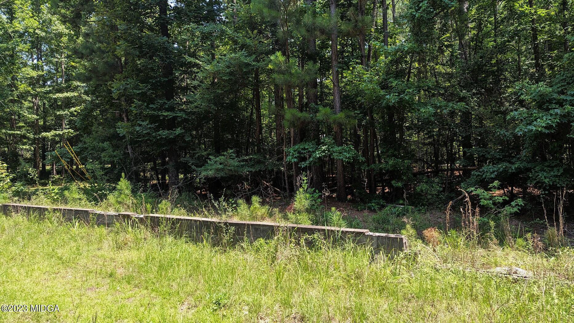 0 Blue Branch Road East Eatonton, GA 31024 - Photo 1 of 5 Photo 1 Frontage