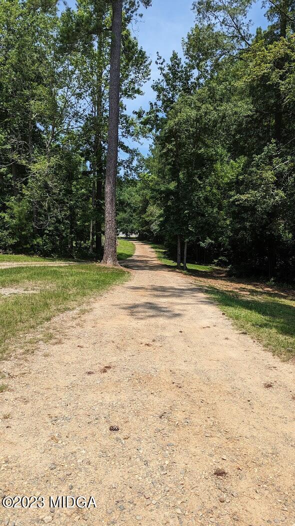0 Blue Branch Road East Eatonton, GA 31024 - Photo 4 of 5 Photo 4 Owners Access Driveway