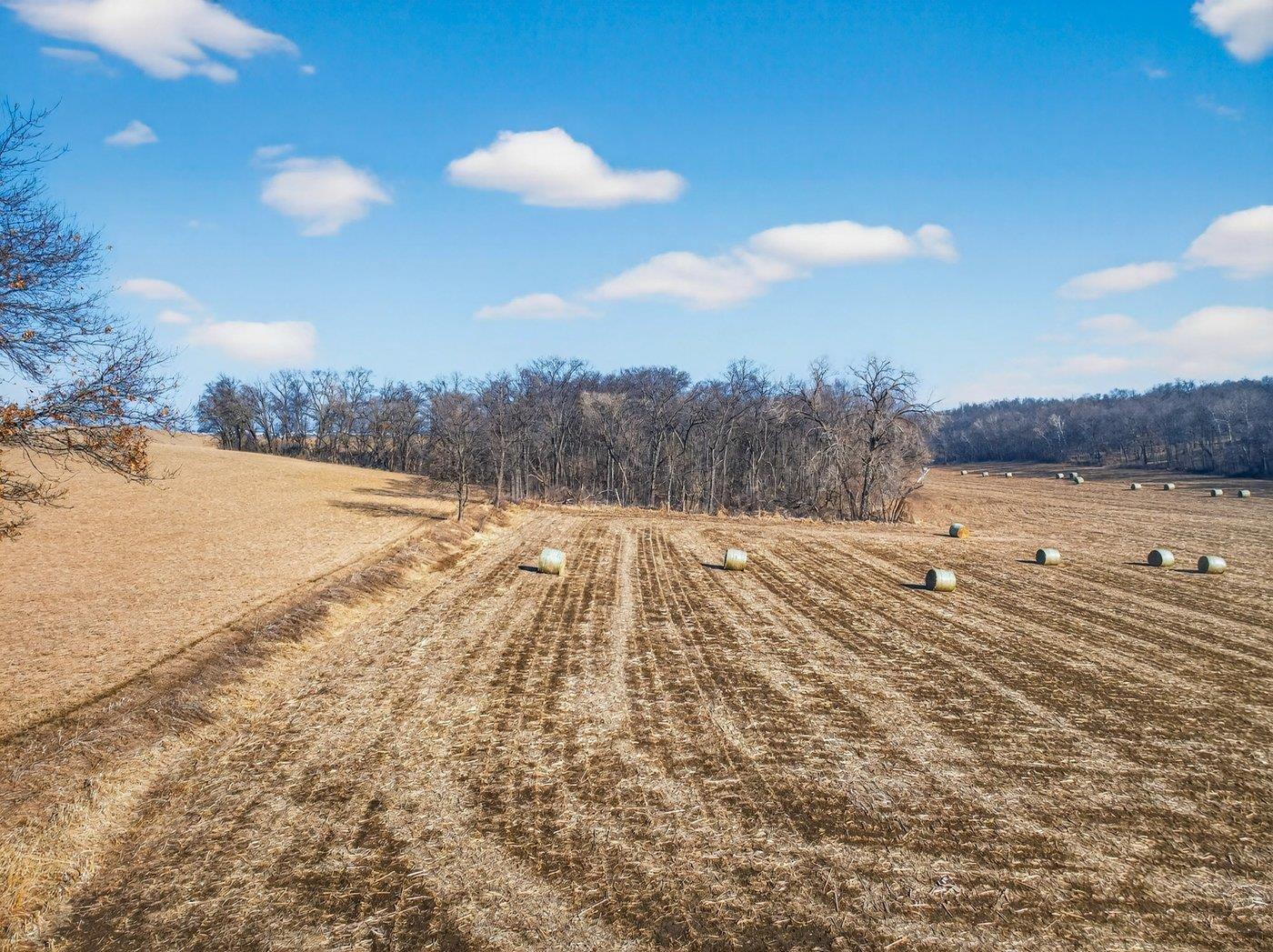 19.85-acres 19.85-acres Riles Middleton, WI 53562 - Photo 14 of 28