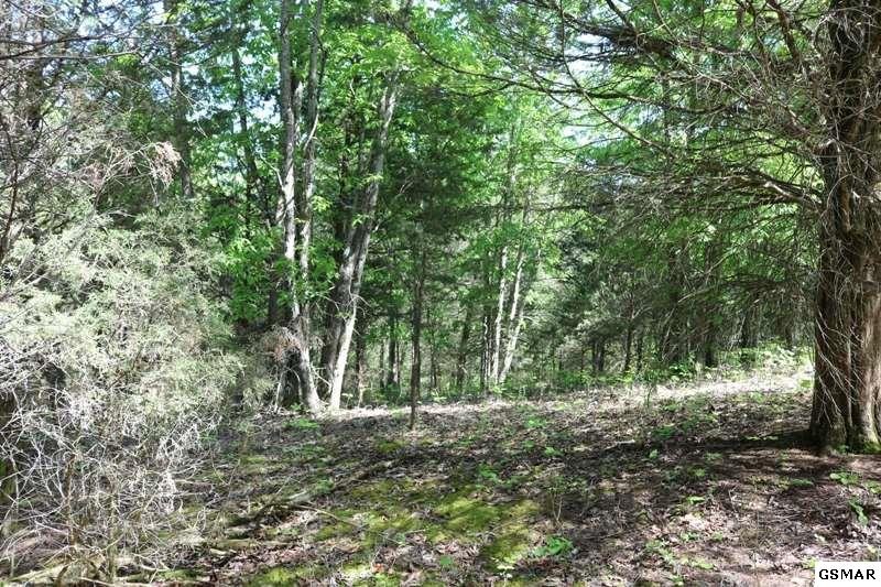 0 Lot 35 Buck Horn Road Sevierville, TN 37876 - Photo 26 of 30