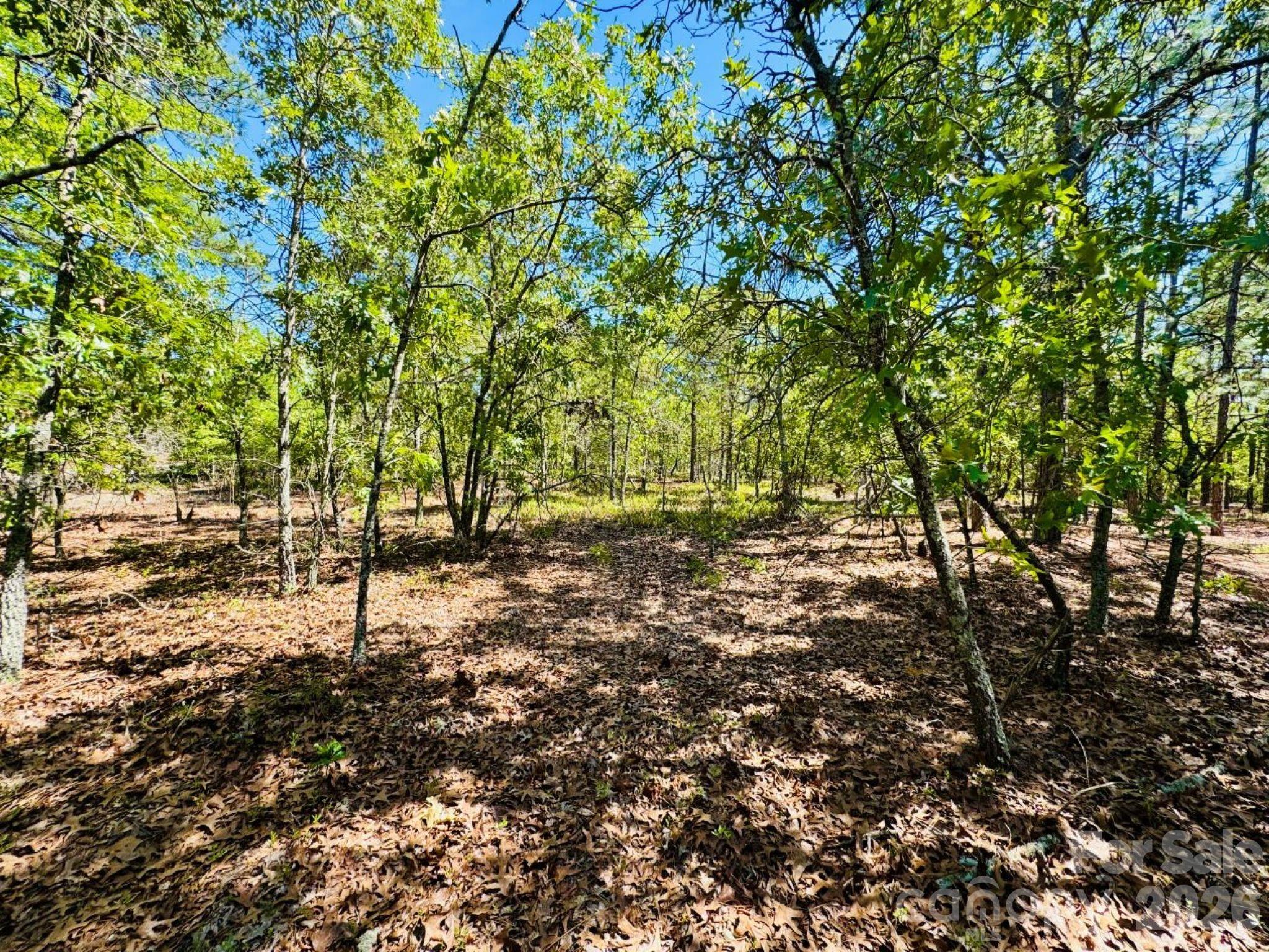 0 Mt Olivet Church Road Patrick, SC 29584 - Photo 9 of 15
