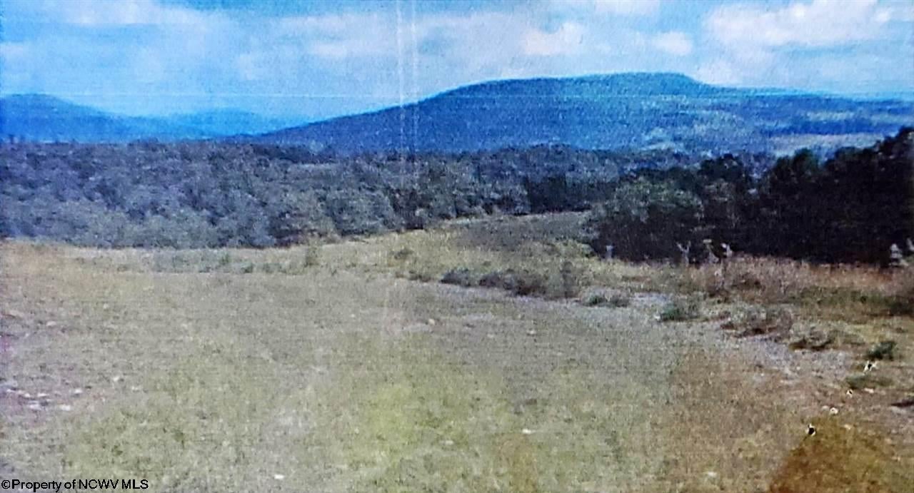 0 Windy Mountain Road Harman, WV 26270 - Photo 2 of 9 Gallery Image 2