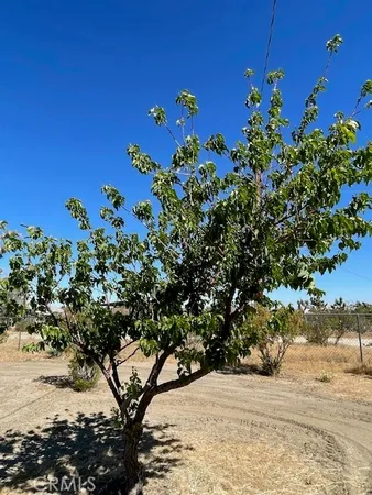 $379,900 | 1011 Danbury Road, Pinon Hills, CA 92372