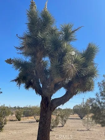 $379,900 | 1011 Danbury Road, Pinon Hills, CA 92372