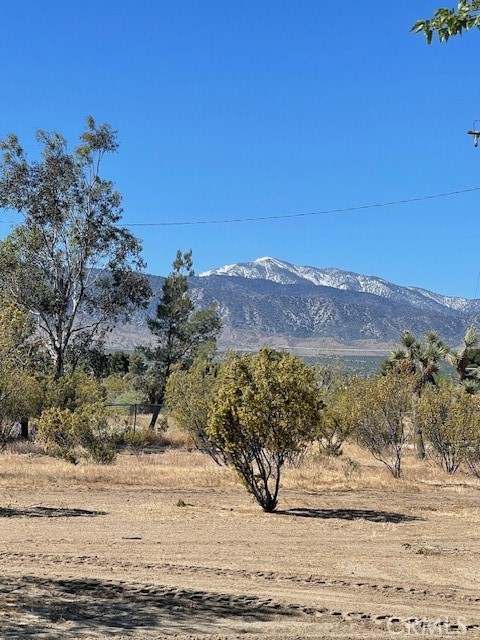 1011 Danbury Road Pinon Hills, CA 92372 - Photo 34 of 34 Mountain View